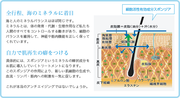 4Bミネラルクリアトリートメント